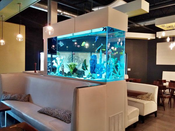 Picture of a 400 gallon fish tank