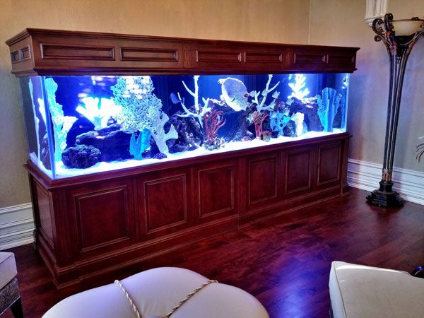 Picture of 600-gallon hardwood fish tank