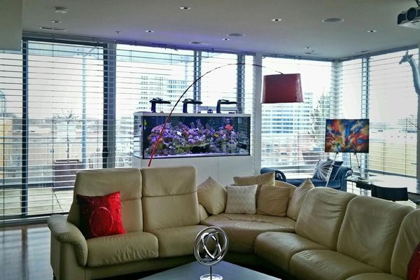 Picture of a home aquarium situated in a living room.